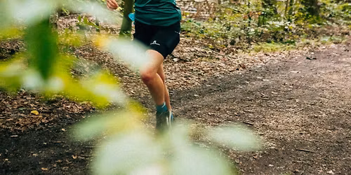 50. Holzlandlauf 2026