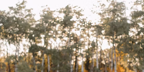 Kaitlyn Tepleski and Jayce Byers St. Patrick\u2019s Day Themed Wedding Social \ud83c\udf40