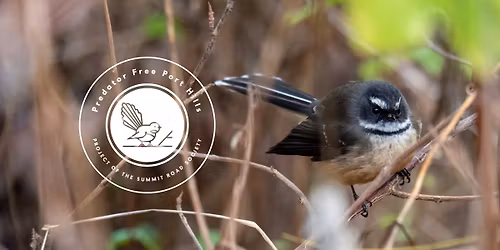 Mt. Pleasant Market Stall