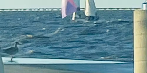 1st Annual AMP West End Fest