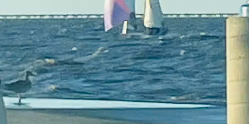 1st Annual AMP West End Fest