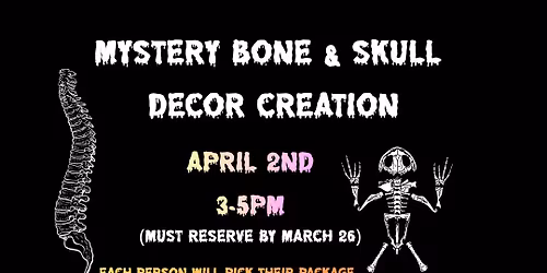 Skull & Bone Decor Creation