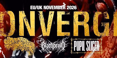 CONVERGE | Karlsruhe