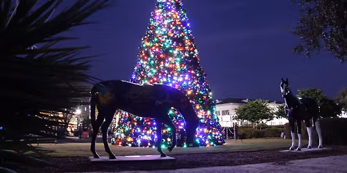 \ud83c\udf1f Holiday Lights Display \ud83c\udf1f