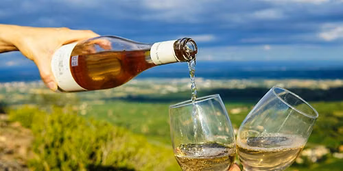 The Wines of Alsace