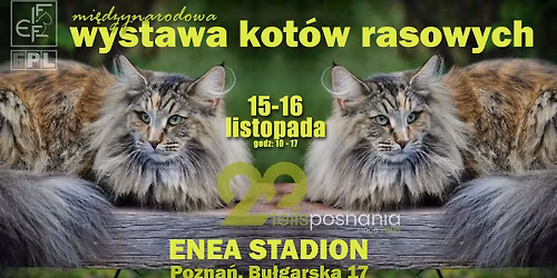 Mi\u0119dzynarodowa Wystawa Kot\u00f3w Rasowych 15 -16 listopada 2025