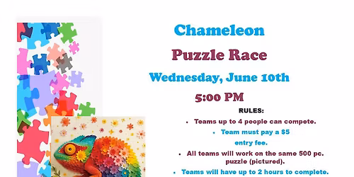 Chameleon Puzzle Race