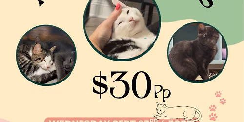 Yoga with Cats