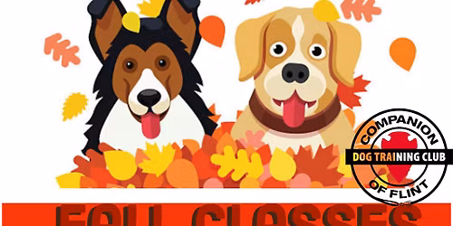Fall Classes