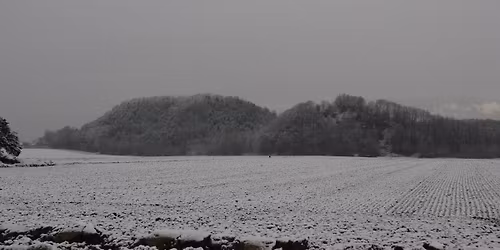 Promenade guid\u00e9e : Reconna\u00eetre les chants des oiseaux