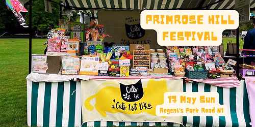 Primrose Hill Summer Festival