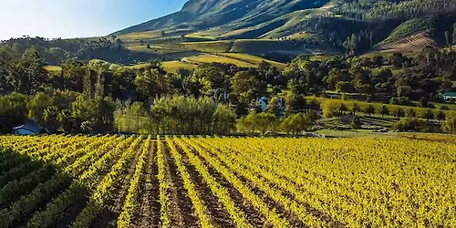 Speakers Luncheon & Wine Tasting