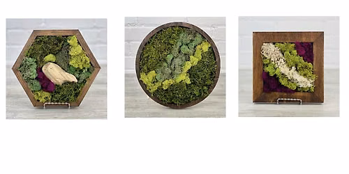 Preserved Moss Wall Art Class