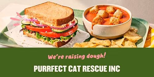 Panera Bread