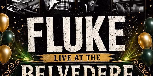 Fluke - Live at The Belvedere
