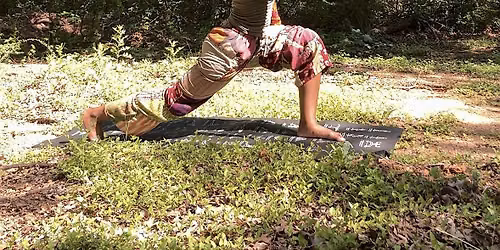 Poetic Hatha Flow - Community Yoga in the Park