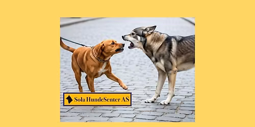 Passerings-kurs oppstart