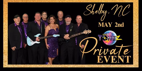 The Tonez LIVE @ PRIVATE WEDDING