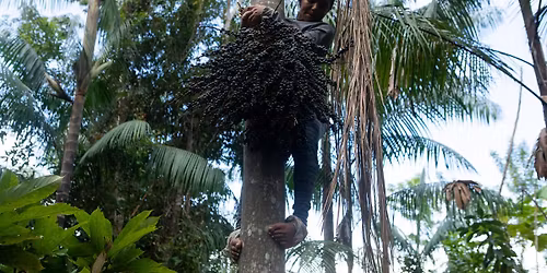 Prom\u00edt\u00e1n\u00ed na podporu Amazonsk\u00e9ho pralesa + kresba