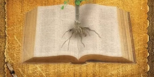 Wednesday night Bible Study with Charis Bible College