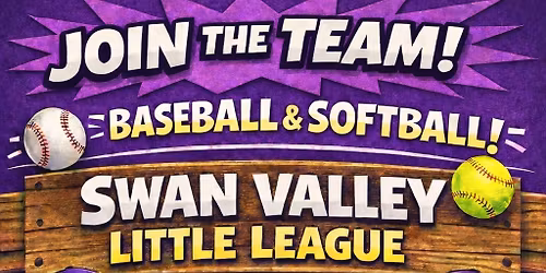 Swan Valley Little League Softball Evaluations