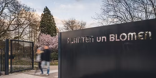 Mozart und die urbane Natur