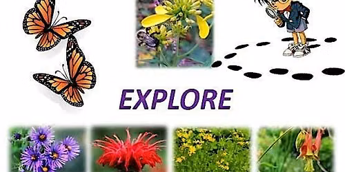 EXPLORING THE POLLINATOR GARDEN