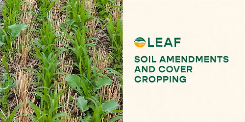 Gardening Basics: Soil Amendments and Cover Cropping