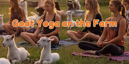 Goat Yoga on the farm