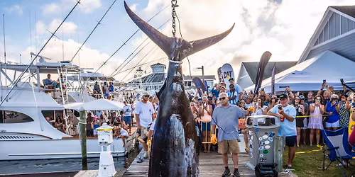2026 Pirate\u2019s Cove Billfish Tournament 