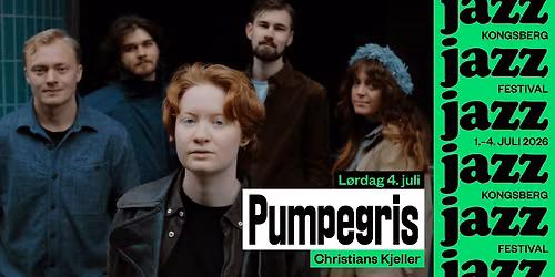 Pumpegris