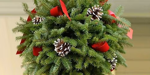 Evergreen Kissing Ball