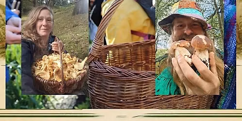 Mushroom Forage Double Fantastic at Middlewood Trust!