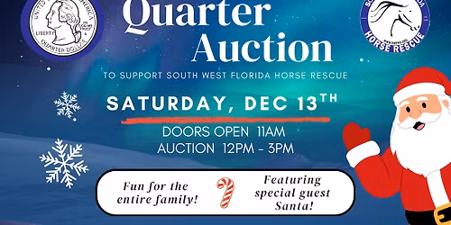 Winter Wonderland Quarter Auction