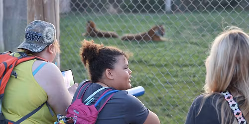 Annual Campout in the Park