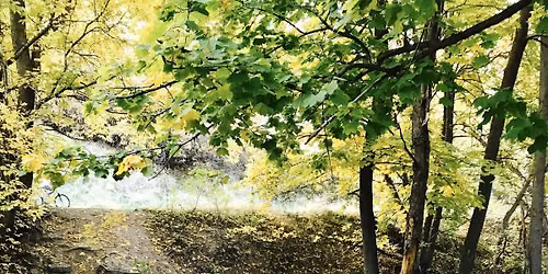 Memory Grove Dog Park