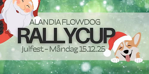 FD Rallycup, JULFEST