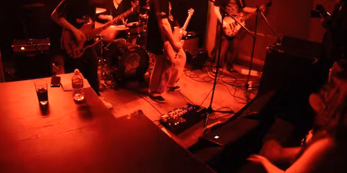 Rosella \/ Triangle X \/ H_ngM_n \/ Turnip