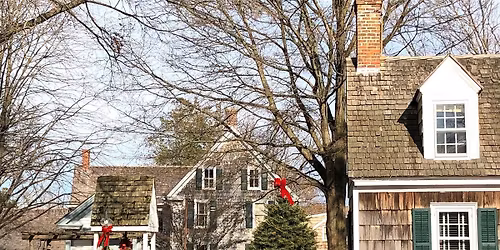 Holiday Village & Market