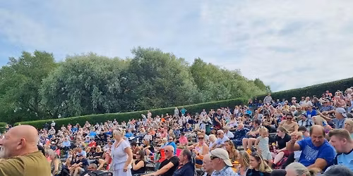 ELVIS ROCKS THE PARK