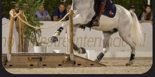 Prova p\u00e5 Working equitation! 