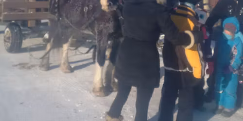 Sleigh rides and Santa Claus Dec 6th & 7th from noon to 3 pm each day.