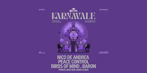 Nico de Andrea, Peace Control, Birds of Mind, Baron