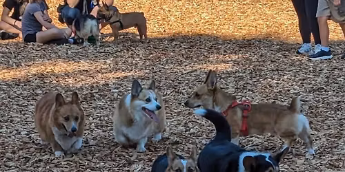 Eastside meetup
