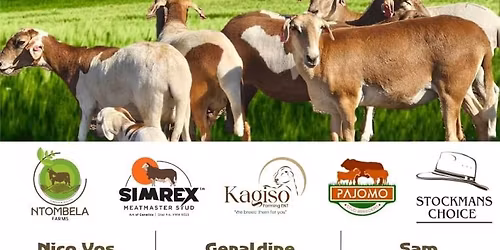 Ntombela Farms & Guest Sellers Production Sale