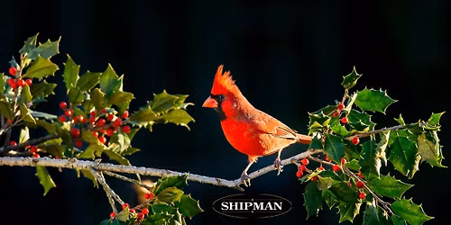 Night of Remembrance