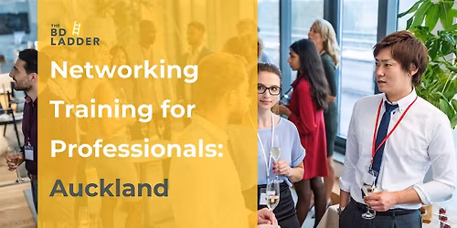 Networking Training for Professionals