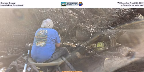 Chainsaw Cleanup, Withlacoochee River