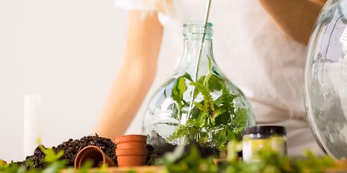 Terrarium Workshop