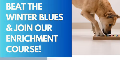 Drop In Enrichment Course